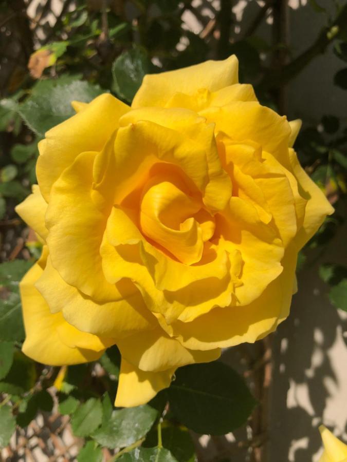 Le Chai De La Rose Spa Et Seances Bien Etre 두라퐁테인 외부 사진